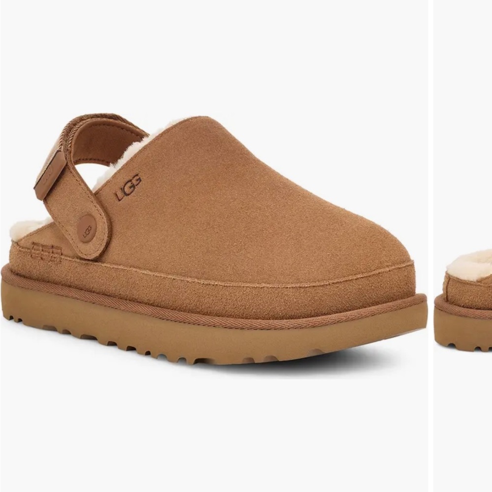 Goldenstar Cozy Clog (Women)